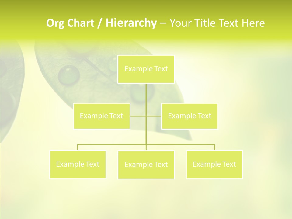 Biology Natural Ladybug PowerPoint Template