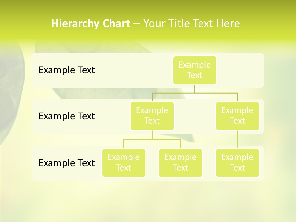 Biology Natural Ladybug PowerPoint Template