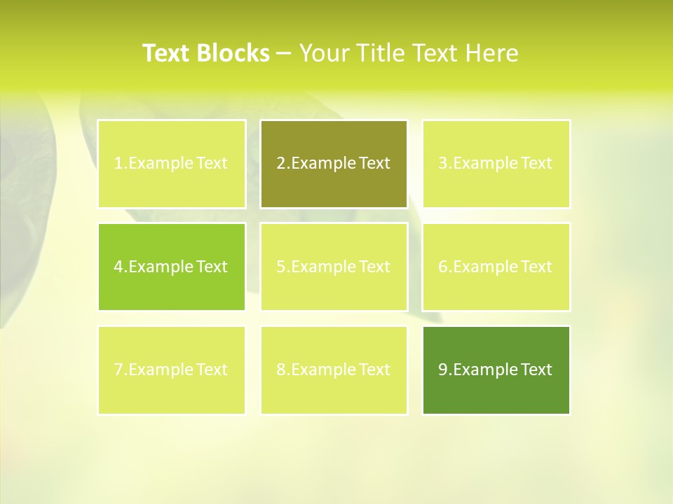 Biology Natural Ladybug PowerPoint Template