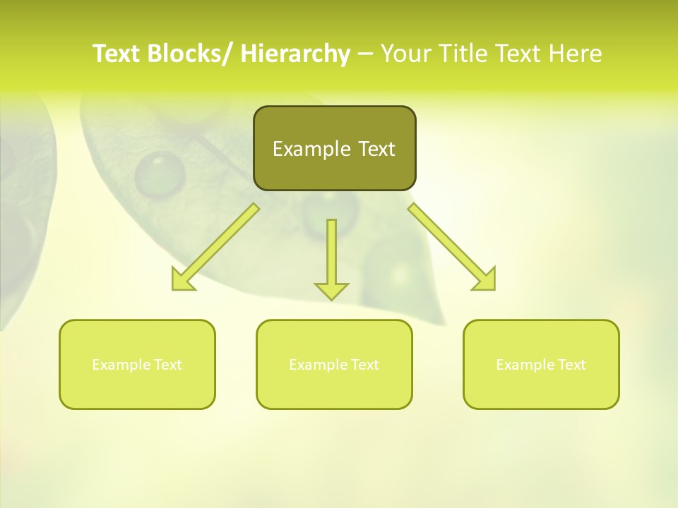 Biology Natural Ladybug PowerPoint Template