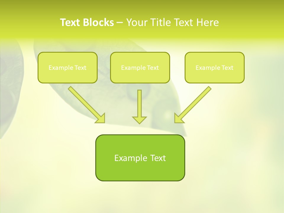 Biology Natural Ladybug PowerPoint Template