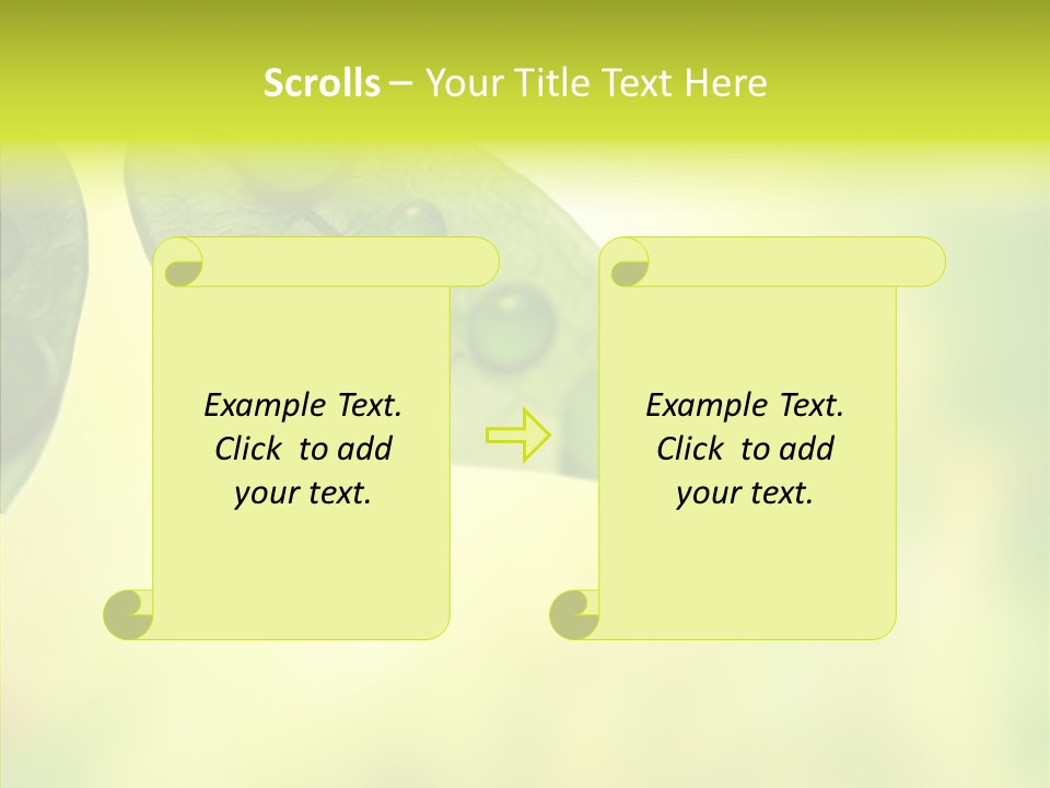 Biology Natural Ladybug PowerPoint Template