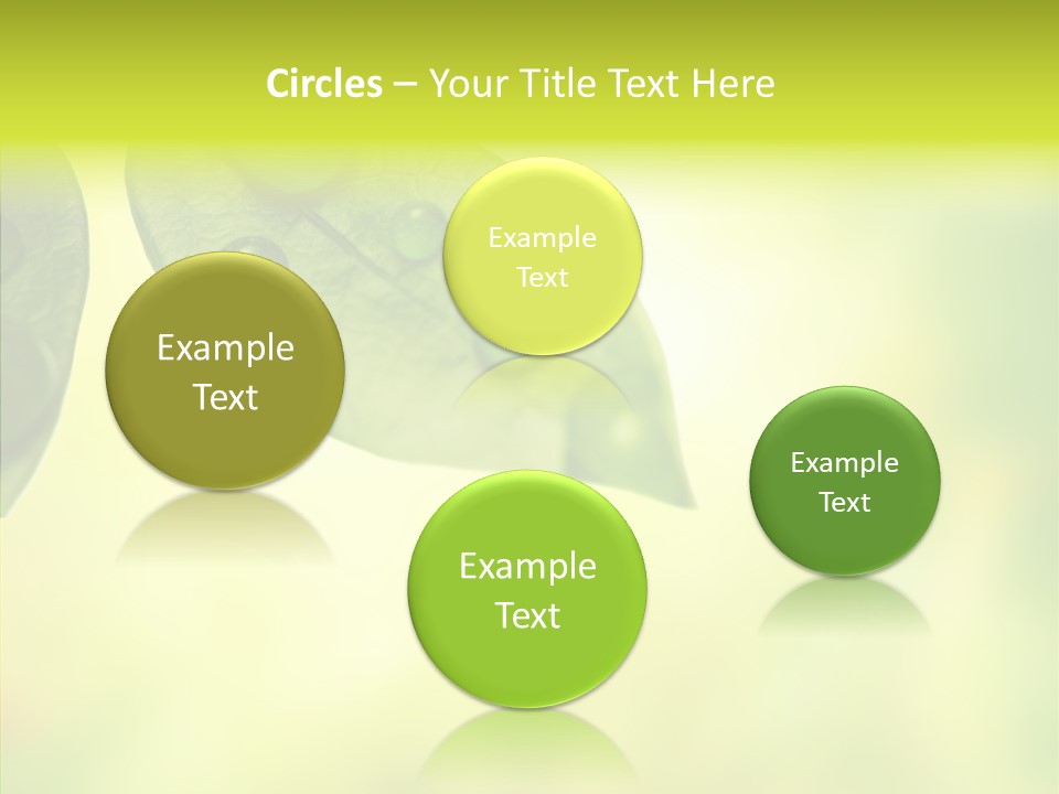 Biology Natural Ladybug PowerPoint Template