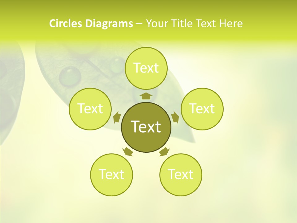 Biology Natural Ladybug PowerPoint Template