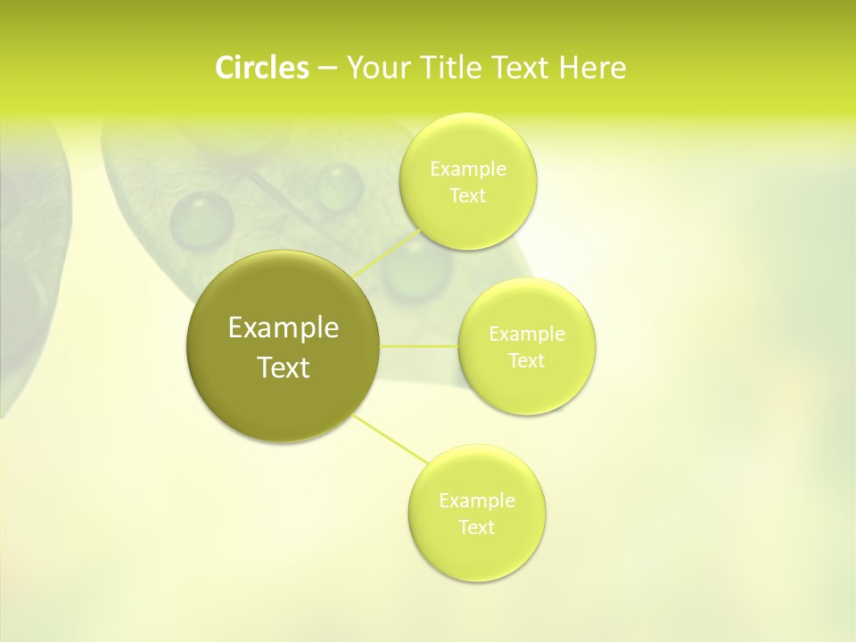 Biology Natural Ladybug PowerPoint Template