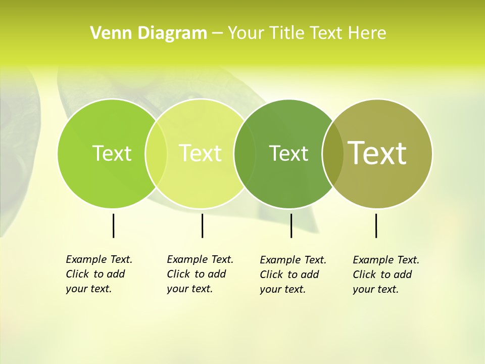 Biology Natural Ladybug PowerPoint Template