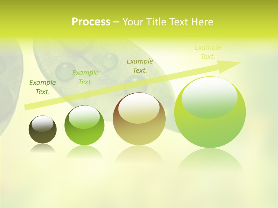 Biology Natural Ladybug PowerPoint Template