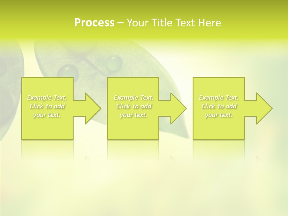 Biology Natural Ladybug PowerPoint Template