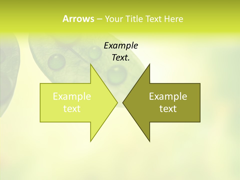 Biology Natural Ladybug PowerPoint Template
