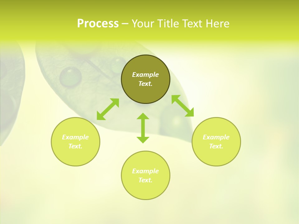Biology Natural Ladybug PowerPoint Template