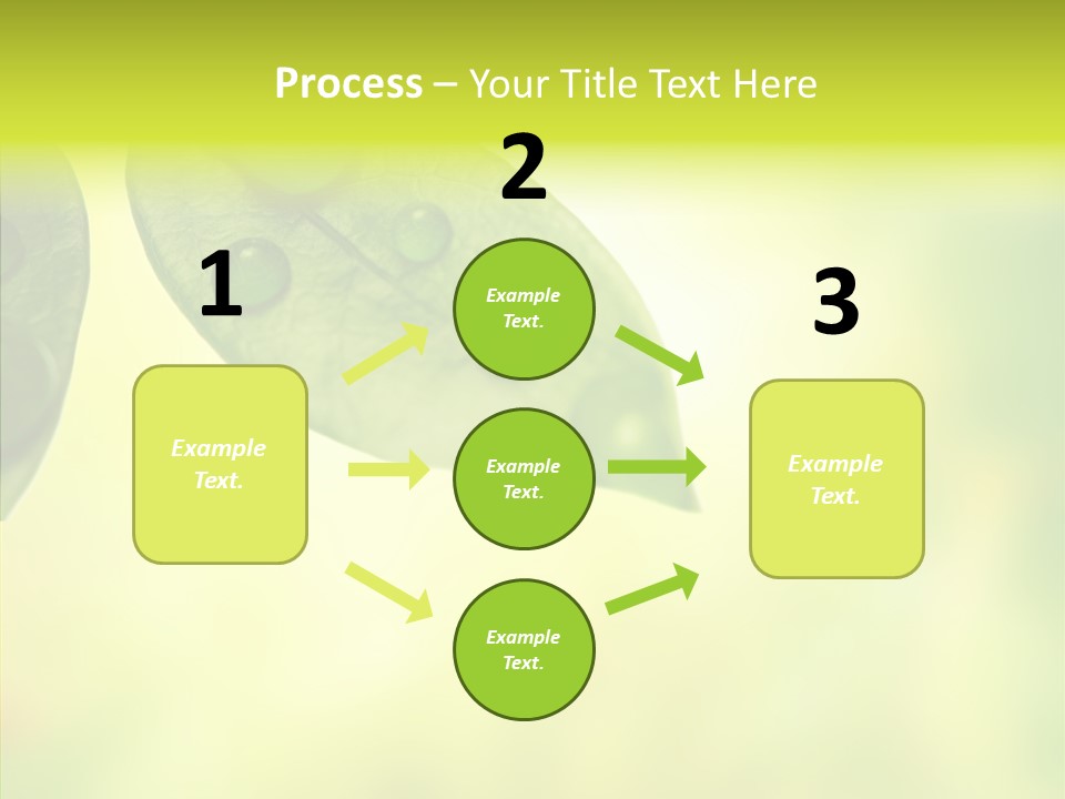 Biology Natural Ladybug PowerPoint Template