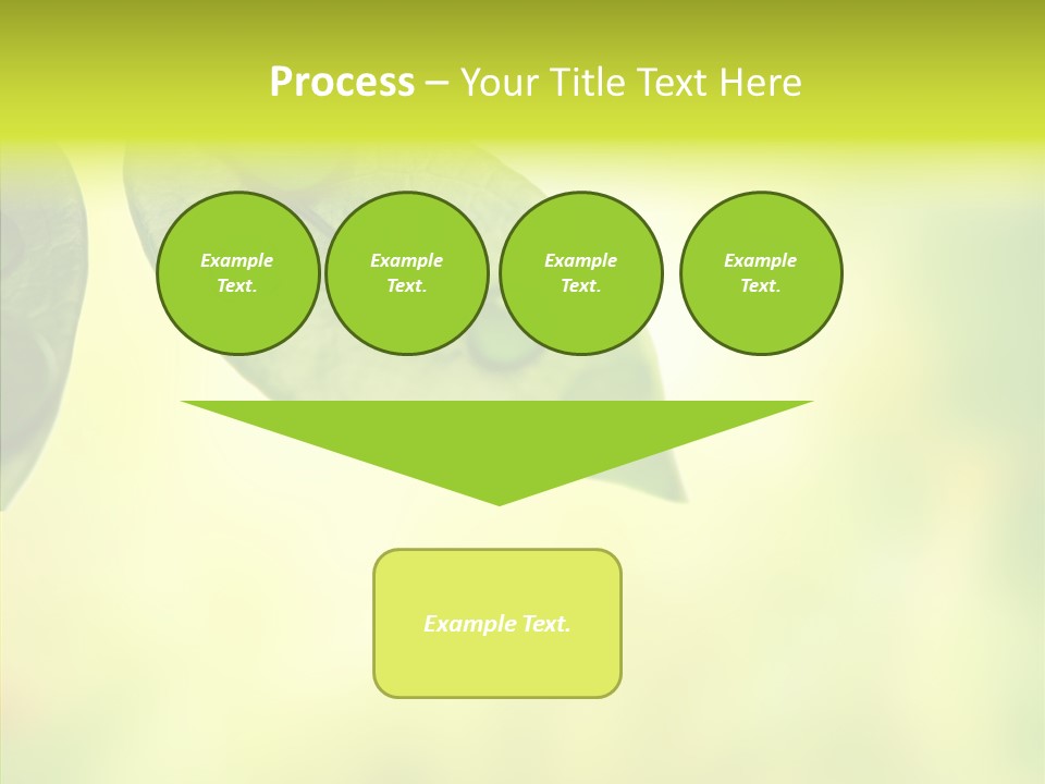 Biology Natural Ladybug PowerPoint Template