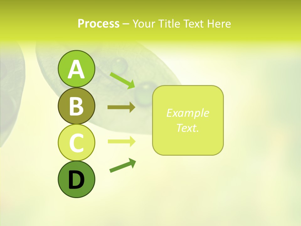 Biology Natural Ladybug PowerPoint Template