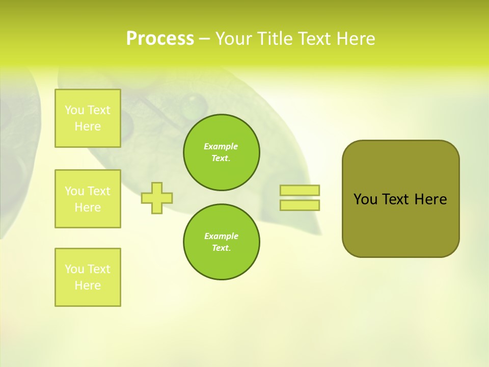 Biology Natural Ladybug PowerPoint Template