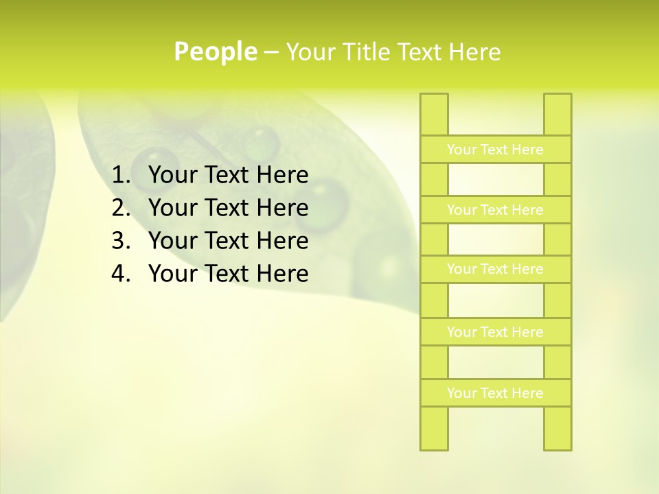 Biology Natural Ladybug PowerPoint Template