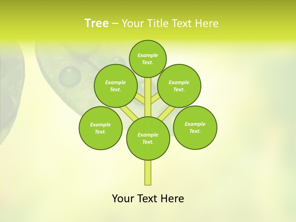 Biology Natural Ladybug PowerPoint Template