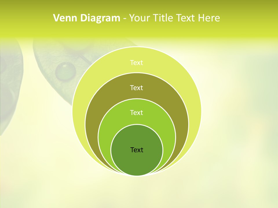 Biology Natural Ladybug PowerPoint Template