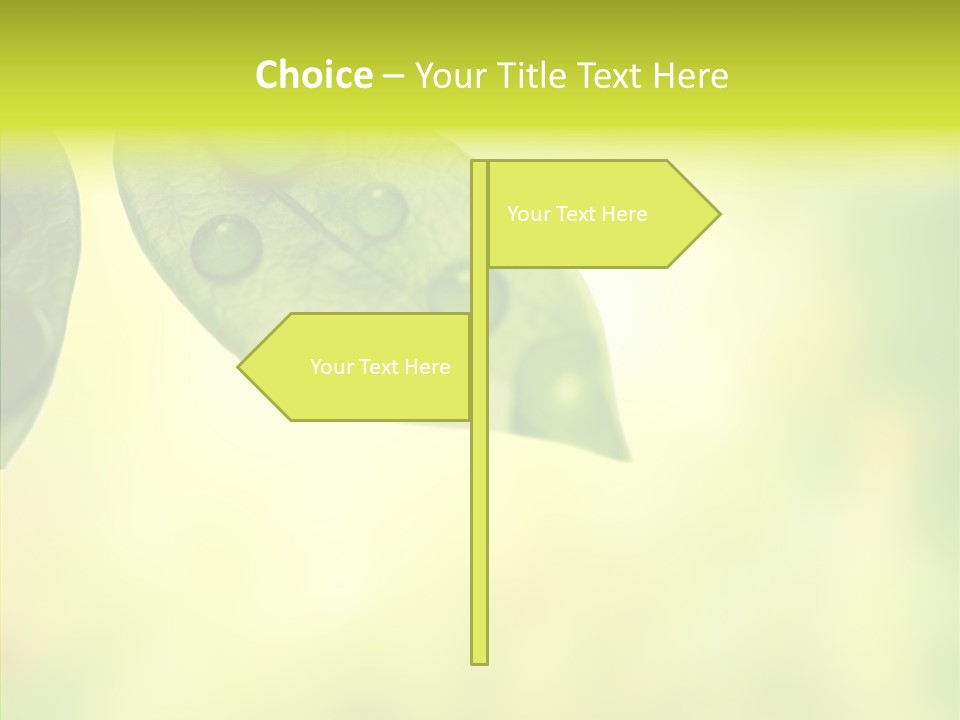 Biology Natural Ladybug PowerPoint Template