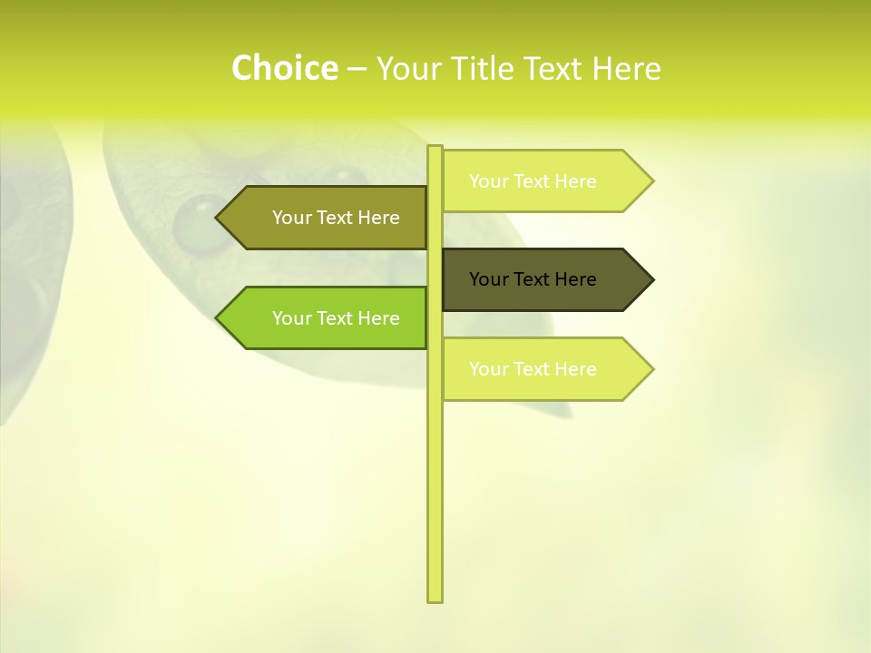 Biology Natural Ladybug PowerPoint Template
