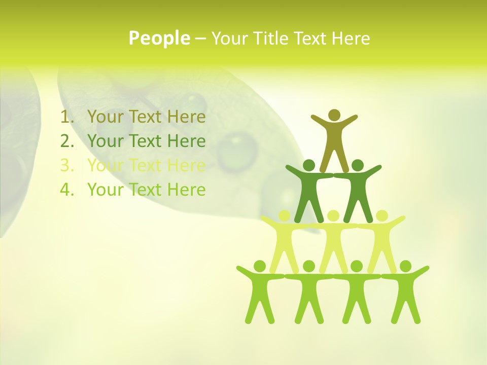 Biology Natural Ladybug PowerPoint Template