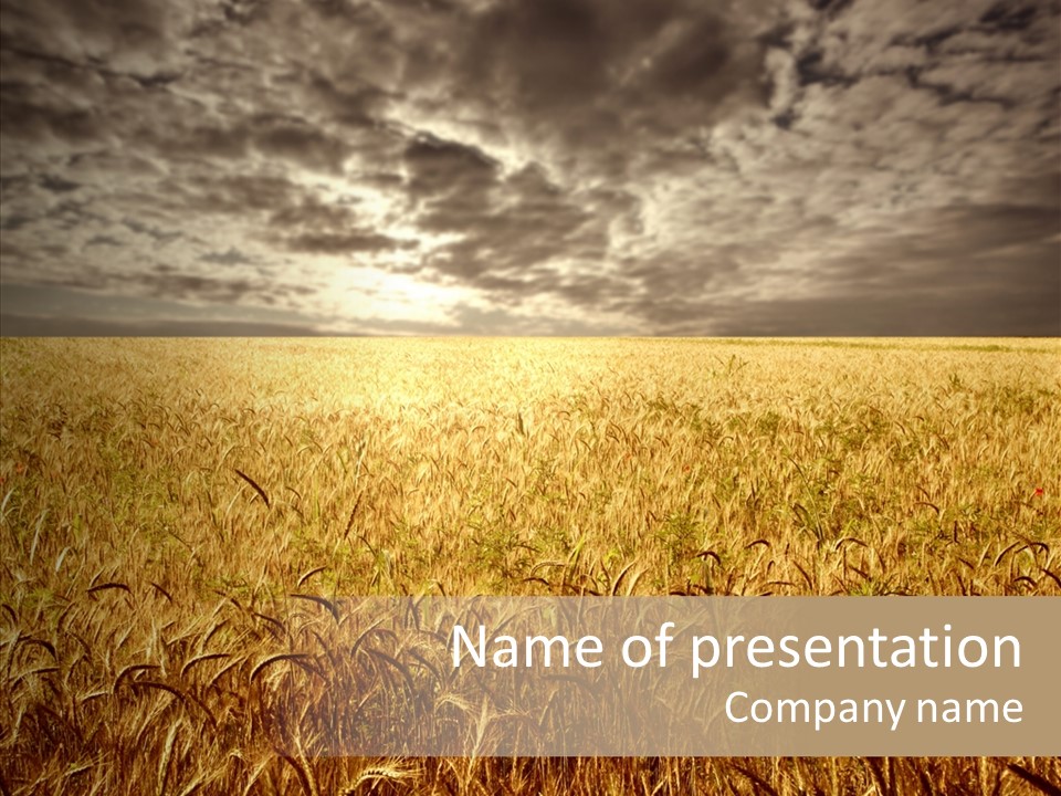 Cloudy Field Wind PowerPoint Template