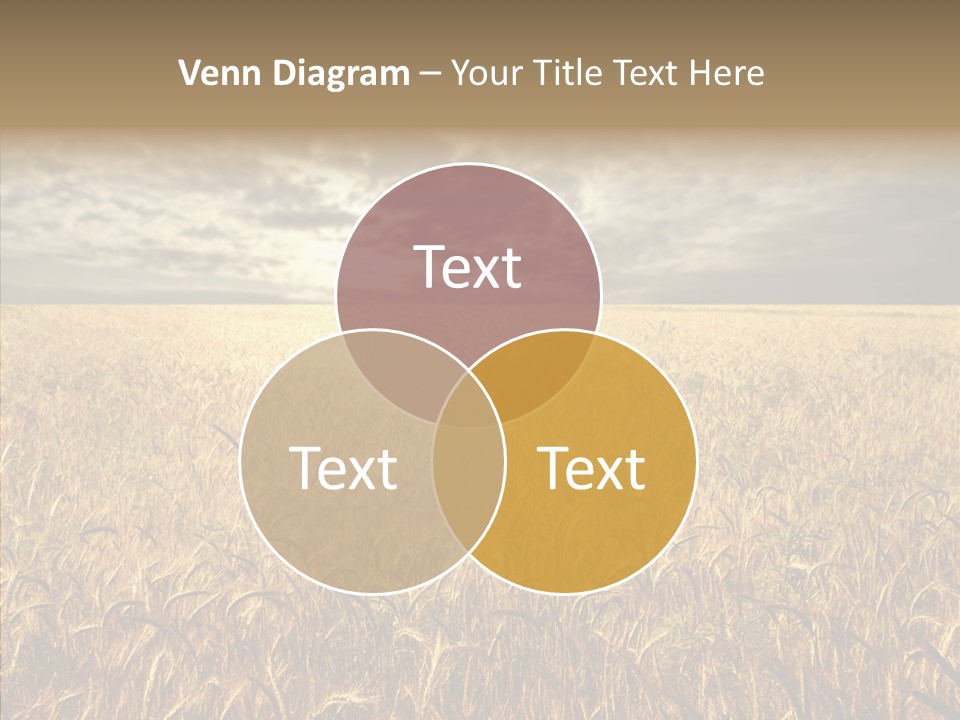 Cloudy Field Wind PowerPoint Template