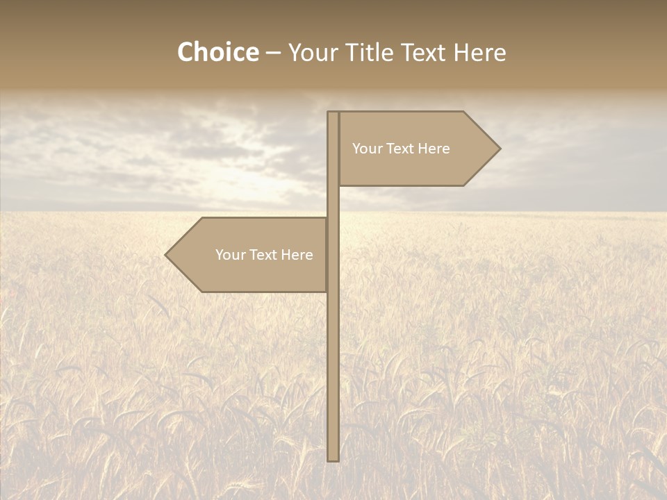 Cloudy Field Wind PowerPoint Template