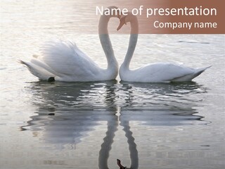 Lake Peaceful Love PowerPoint Template