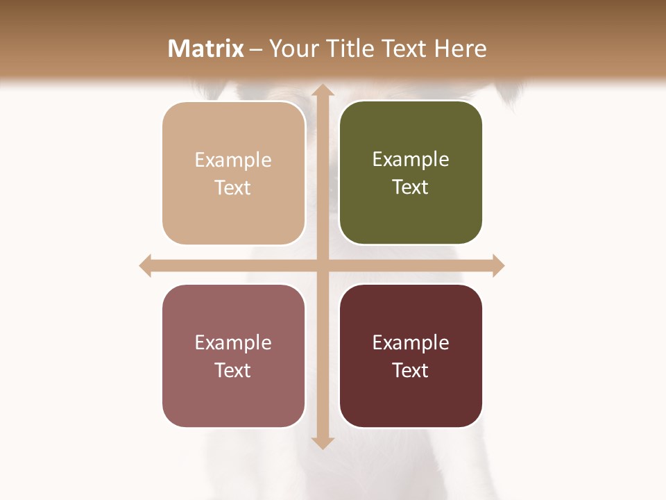 Doggy Minuscule Shot PowerPoint Template