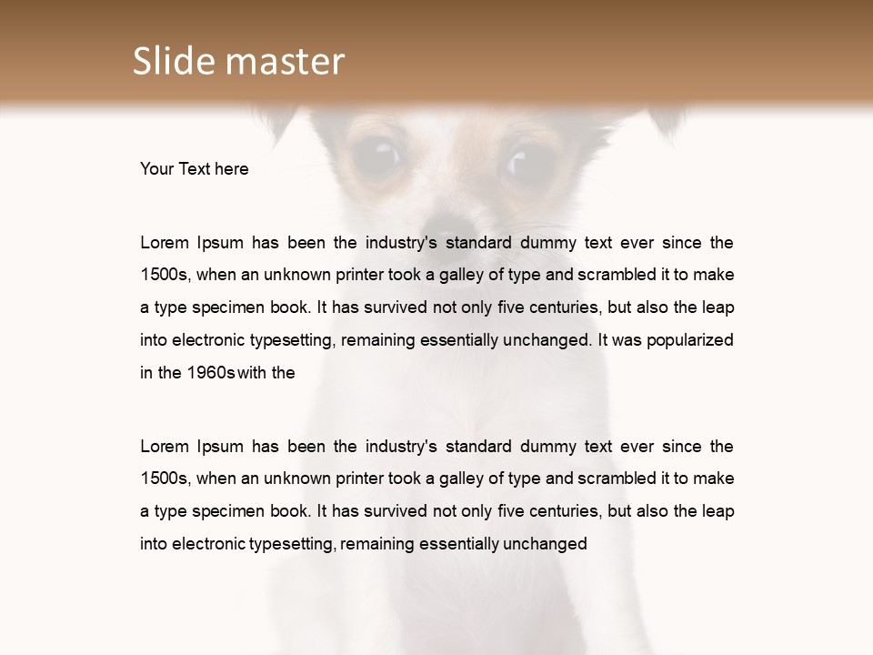 Doggy Minuscule Shot PowerPoint Template