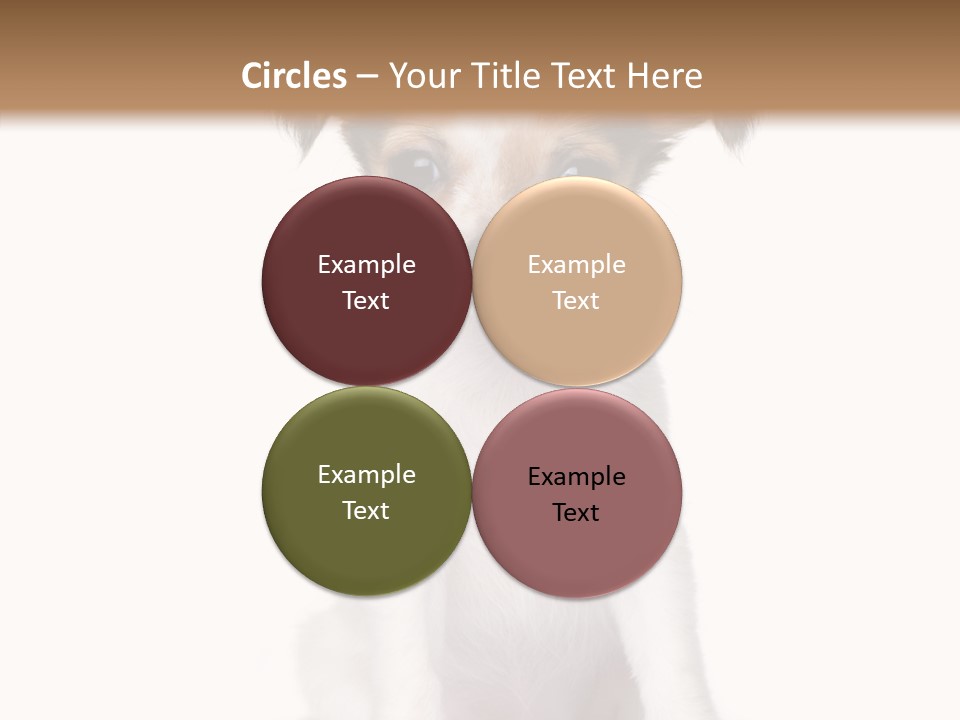 Doggy Minuscule Shot PowerPoint Template