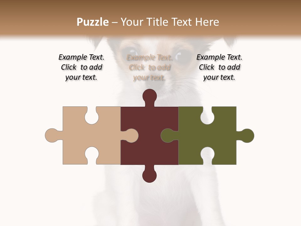 Doggy Minuscule Shot PowerPoint Template