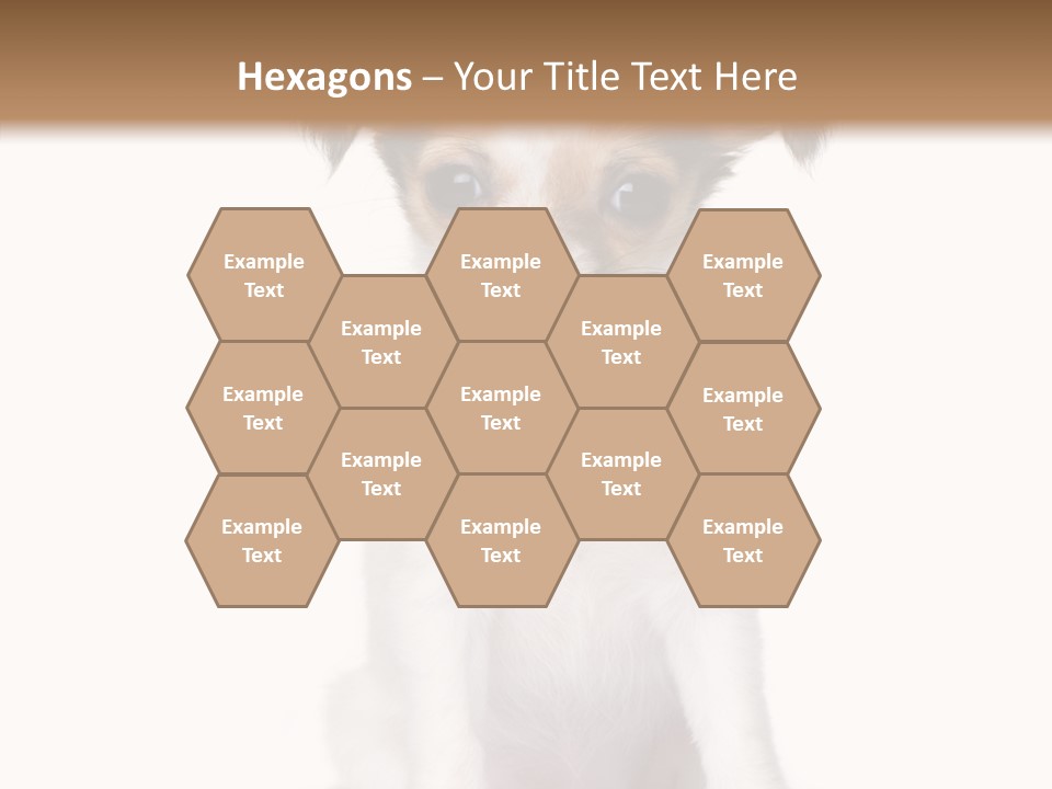 Doggy Minuscule Shot PowerPoint Template
