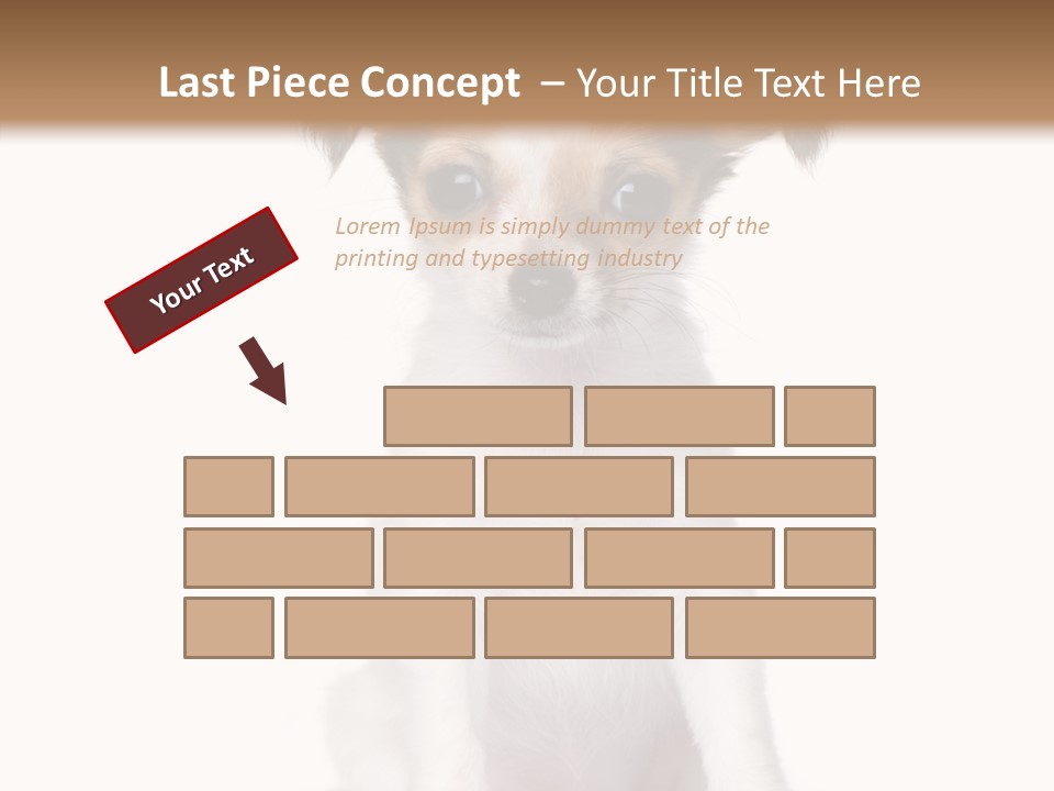 Doggy Minuscule Shot PowerPoint Template