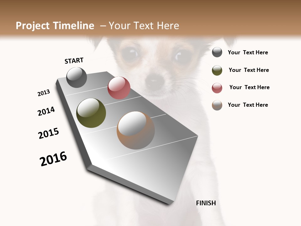 Doggy Minuscule Shot PowerPoint Template