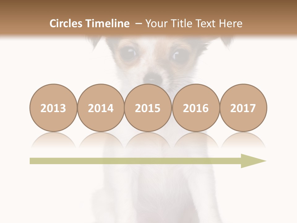 Doggy Minuscule Shot PowerPoint Template