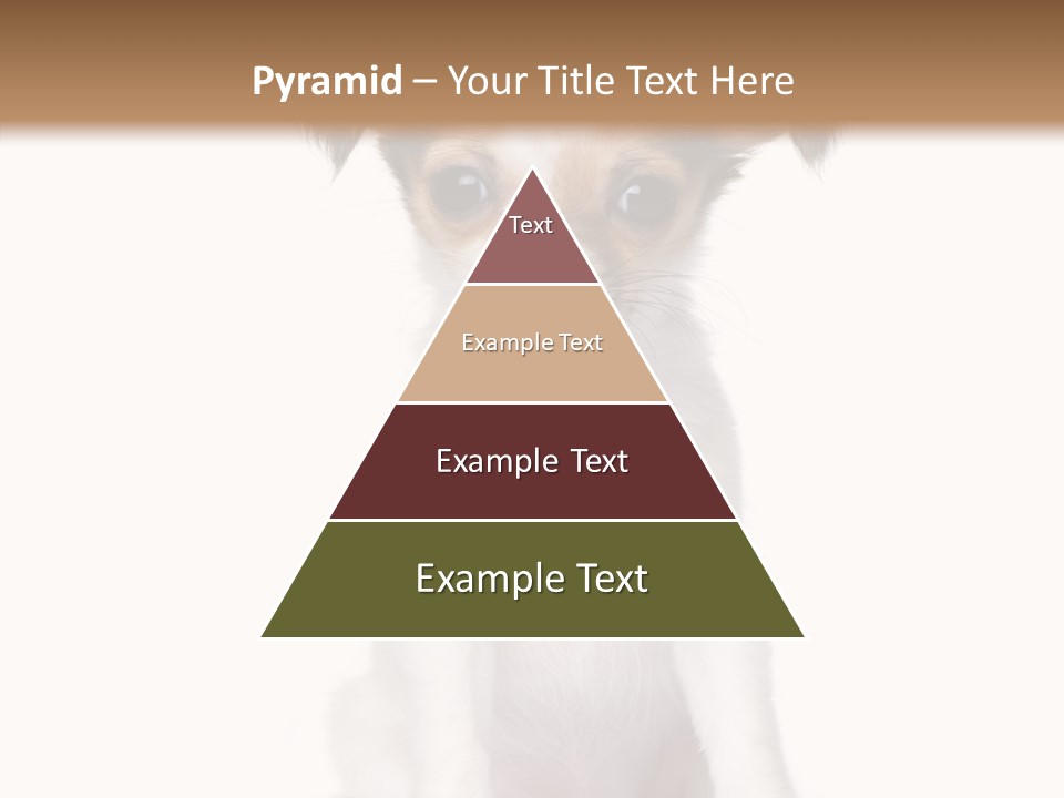 Doggy Minuscule Shot PowerPoint Template