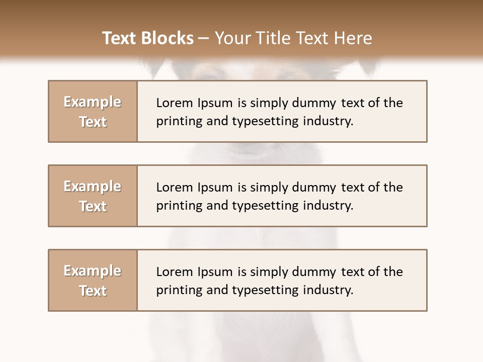 Doggy Minuscule Shot PowerPoint Template