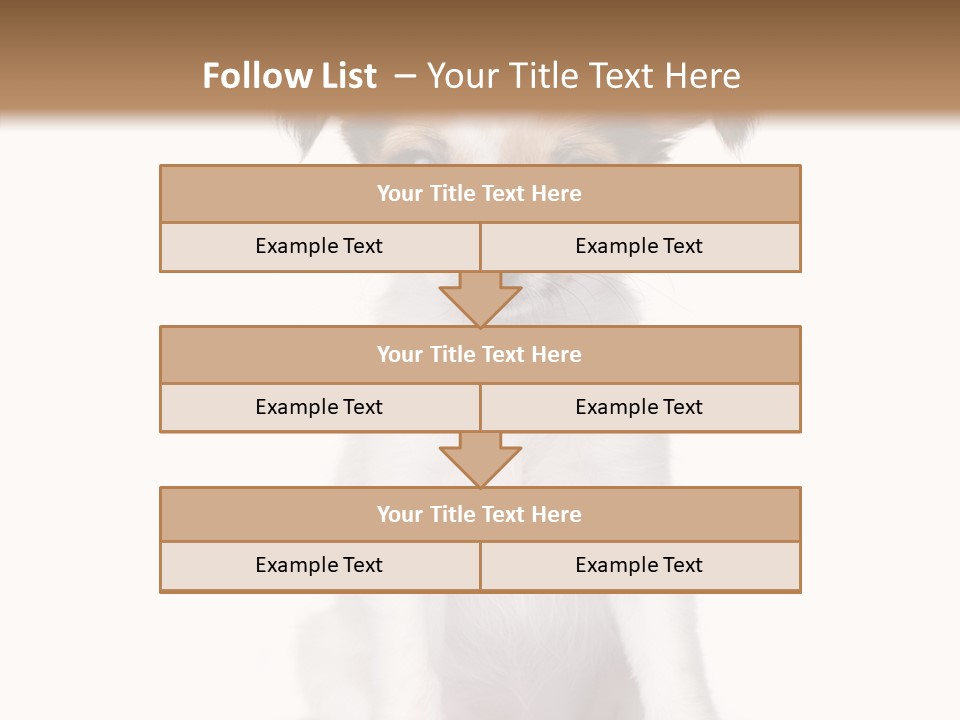 Doggy Minuscule Shot PowerPoint Template