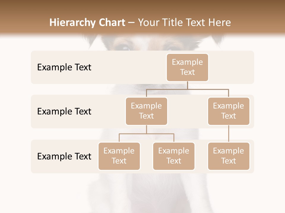Doggy Minuscule Shot PowerPoint Template