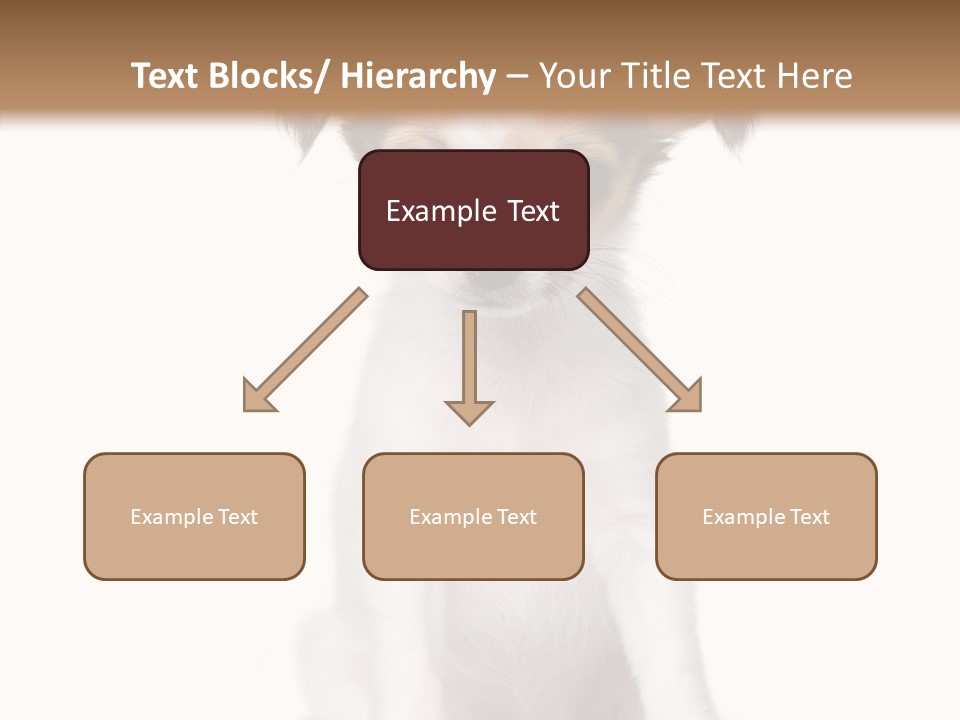 Doggy Minuscule Shot PowerPoint Template
