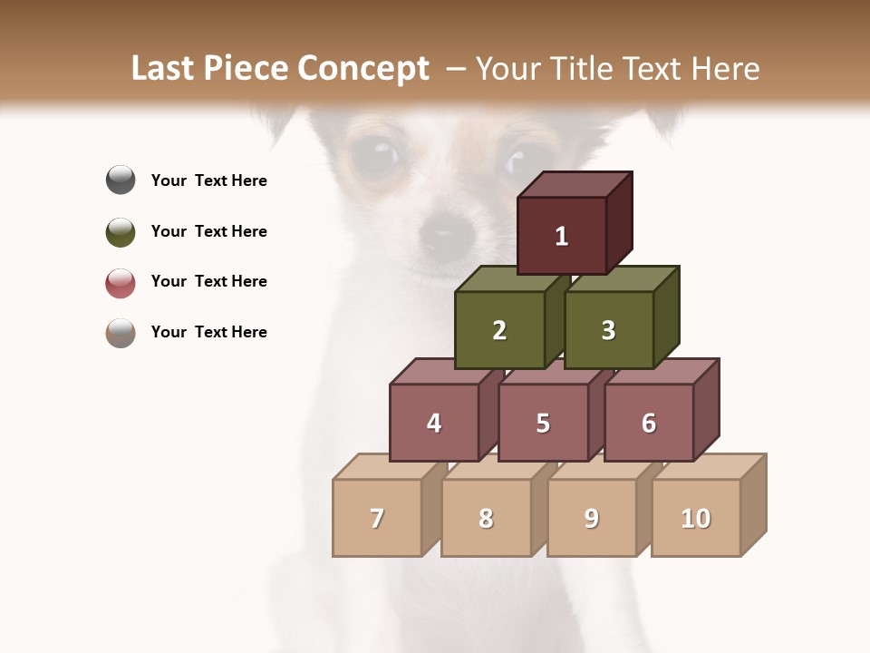 Doggy Minuscule Shot PowerPoint Template