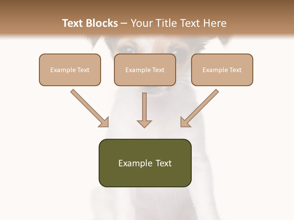 Doggy Minuscule Shot PowerPoint Template