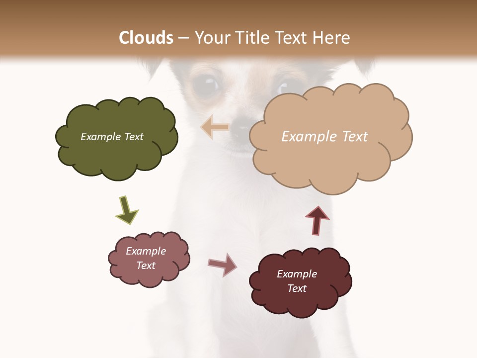 Doggy Minuscule Shot PowerPoint Template