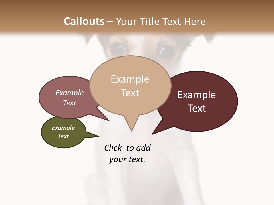 Doggy Minuscule Shot PowerPoint Template