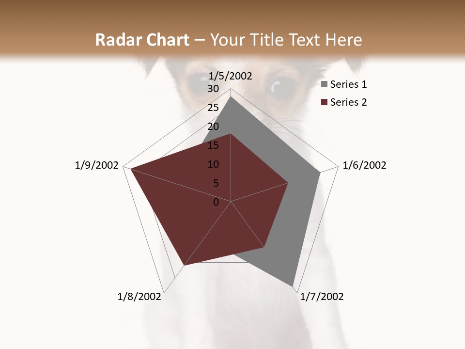 Doggy Minuscule Shot PowerPoint Template