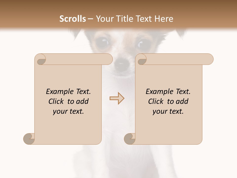 Doggy Minuscule Shot PowerPoint Template