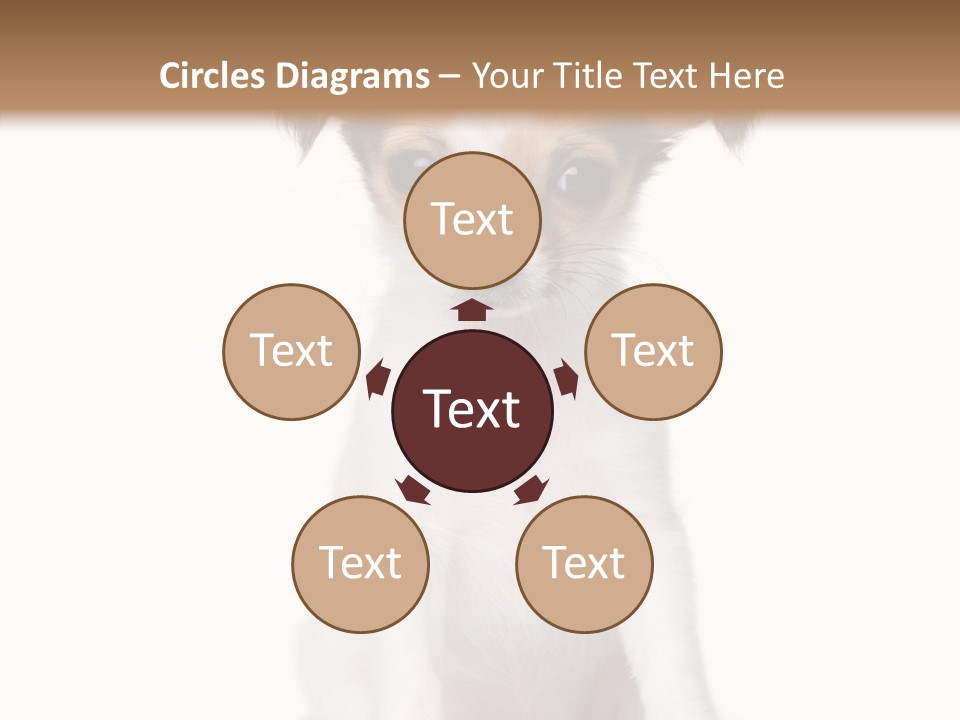 Doggy Minuscule Shot PowerPoint Template