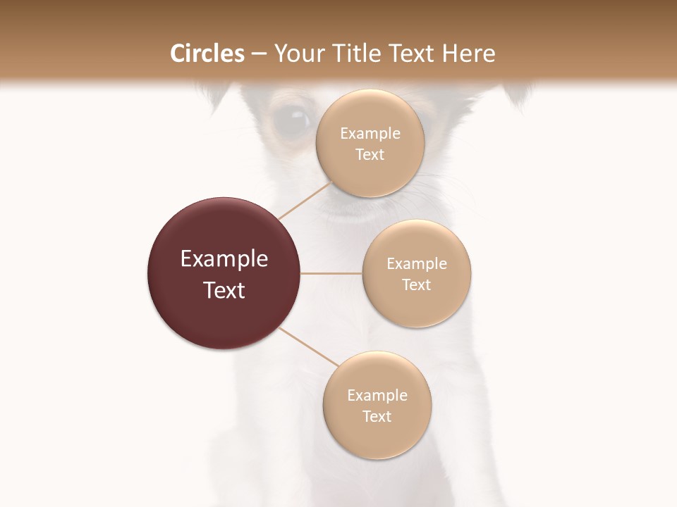 Doggy Minuscule Shot PowerPoint Template