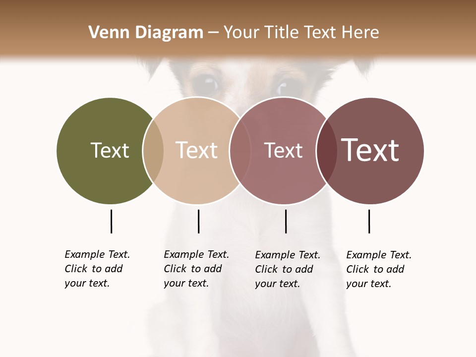 Doggy Minuscule Shot PowerPoint Template